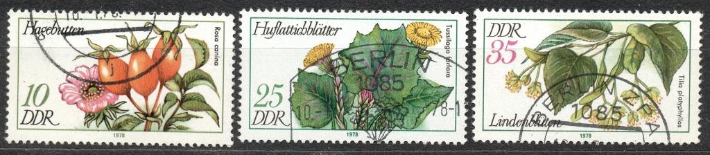 ГДР 1978 г. ЦВЕТЫ  гашеная