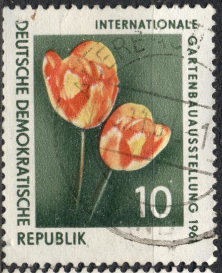 ГДР 1961 г. стандарт ЦВЕТЫ  гашеная