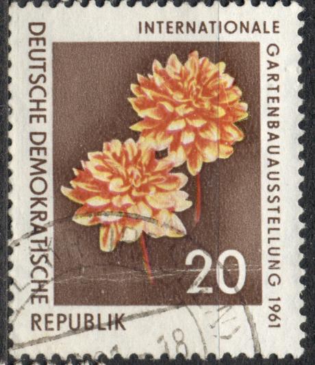 ГДР 1961 г. стандарт ЦВЕТЫ  гашеная
