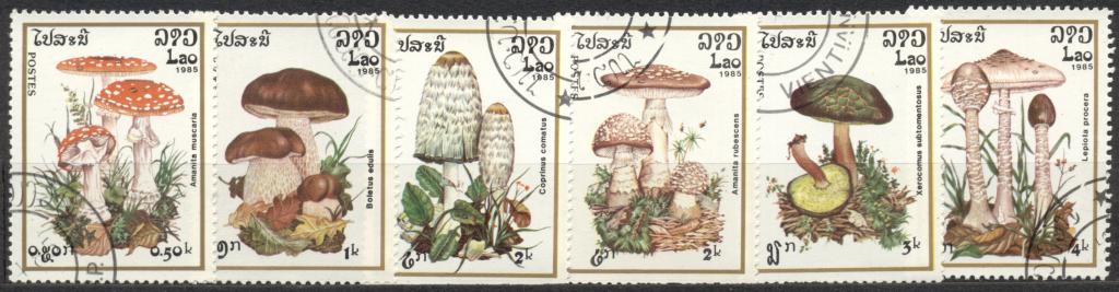 Лаос 1985  г. серия ГРИБЫ гашеная