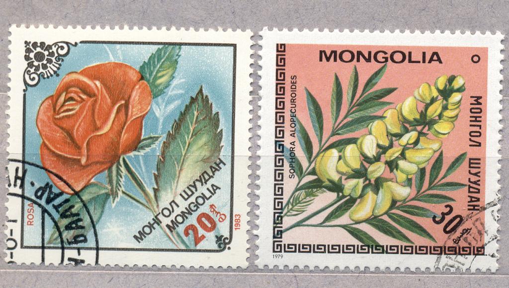 Монголия 1983 г. Цветы  гашеная