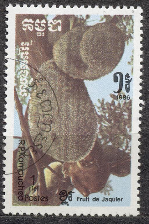 Кампучия 1986 г.. Тропические плоды  гашеная