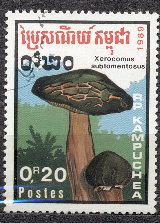 Кампучия 1989 г..  ГРИБЫ  гашеная