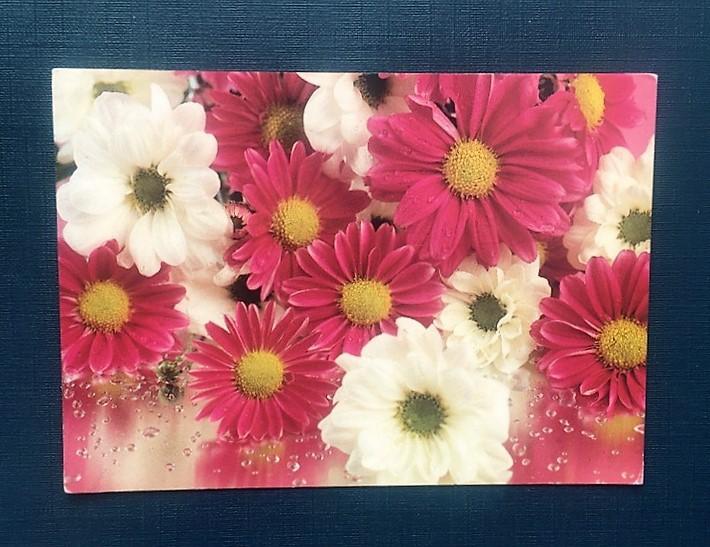 1997 Дородных Поздравляю! Цветы, Литер В чистая