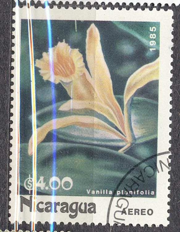 Никарагуа 1985 г.  ЦВЕТЫ гашеная