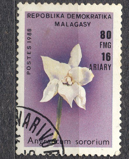 Мадагаскар 1988 г.   Цветы гашеная