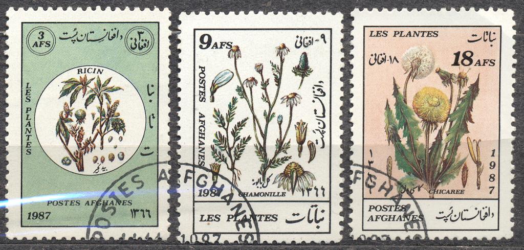 Афганистан 1987 г. ЦВЕТЫ гашеная