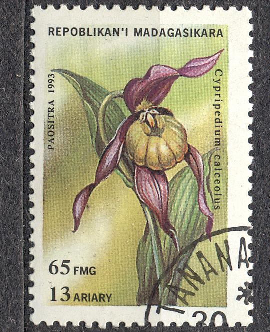 Мадагаскар 1993 г.   Цветы гашеная