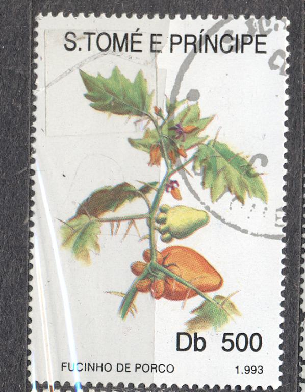 Сан Томе и Принсипи 1993 г. стандарт ЦВЕТЫ гашеная (НАПИСАНИЕ ДАТЫ!)