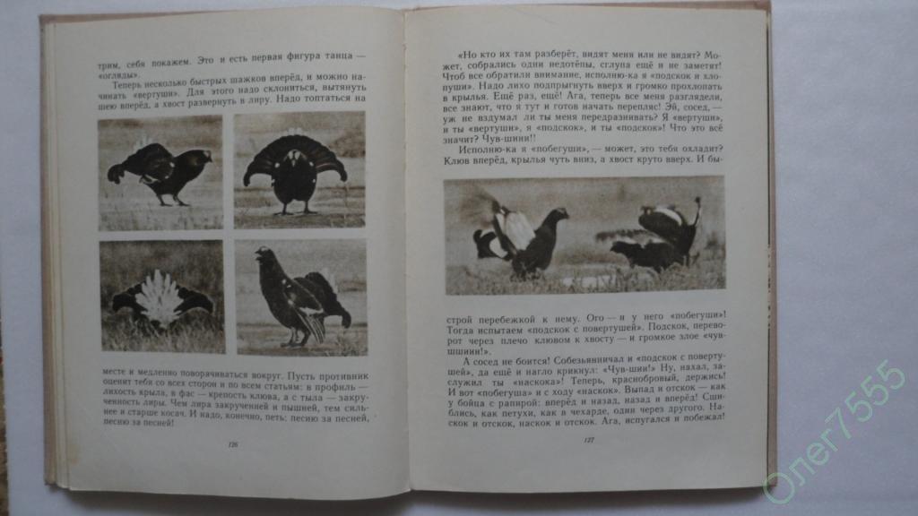 белый снег пушистый в воздухе кружится и на землю тихо падает ложится. белый снег пушистый в воздухе. красная шапочка идет по лесу. шапка невидимка сказка. шла красная шапочка по лесу анекдот.