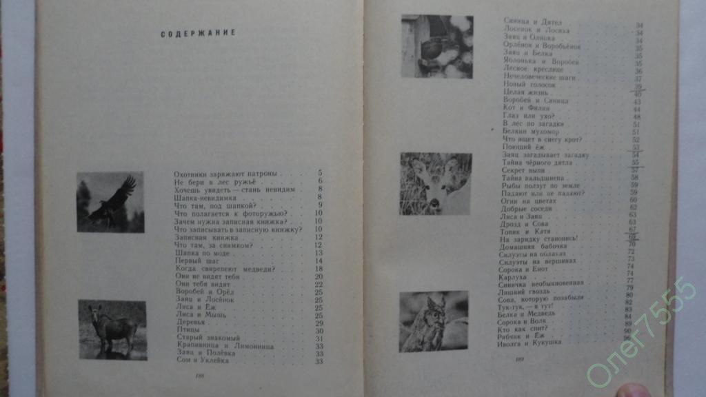 наблюдения за жизнью леса. под шапкой текст. николай сладков под шапкой невидимкой. вопросы к сказке красная шапочка. николай сладков под шапкой невидимкой.