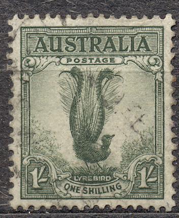 Австралия 1937 г. стандарт Лирохвост  гашеная