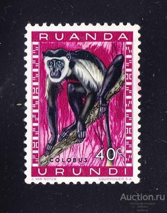 фауна ОБЕЗЬЯНЫ Африка 1959 Ruanda-Urundi 40c**