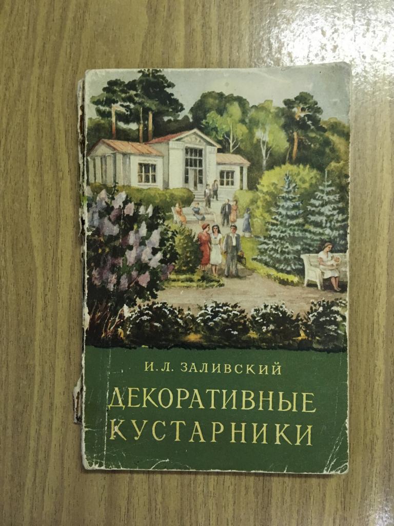 1956 г. Декоративные кустарники. Заливский. Растениеводство. Старинная книга ботаника. Радионенко.