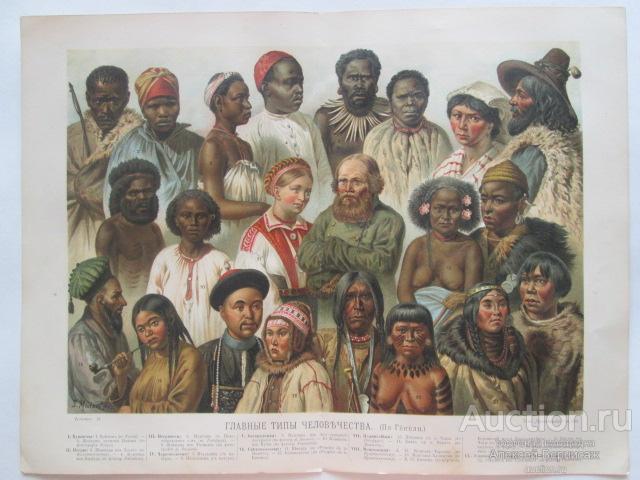Главные типы человечества. (По Гексли) хромолитография 1903 года