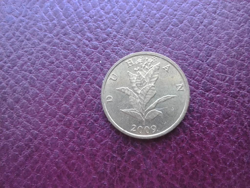 Хорватия 10 липа  2009 год.