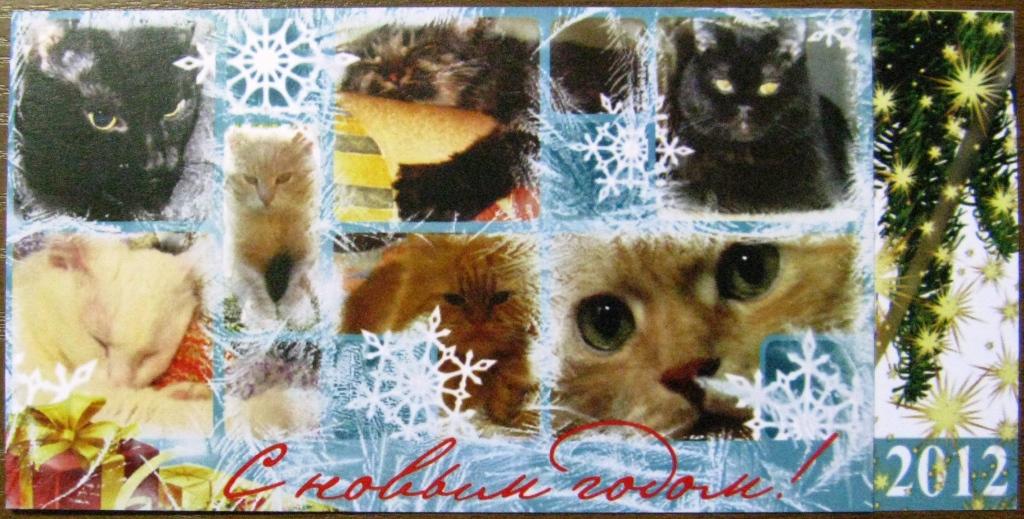 К11-469 С НОВЫМ ГОДОМ! 2012, КОТ, КОШКА, ПСКОВ