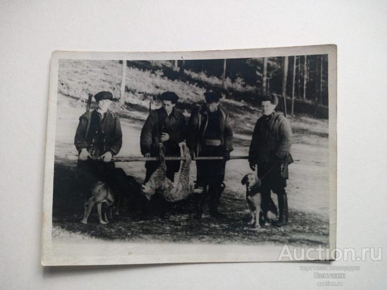 Любительское фото Охотники с пойманной рысью 50-е гг