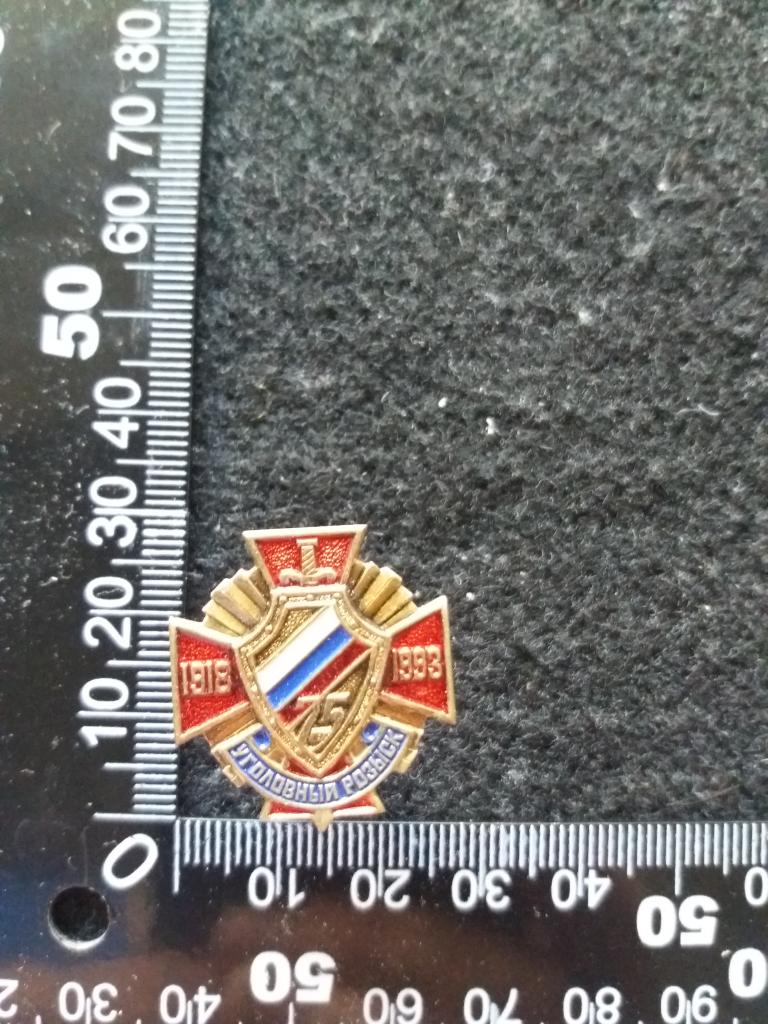 Знак "1918-1993. УГОЛОВНЫЙ РОЗЫСК 75"