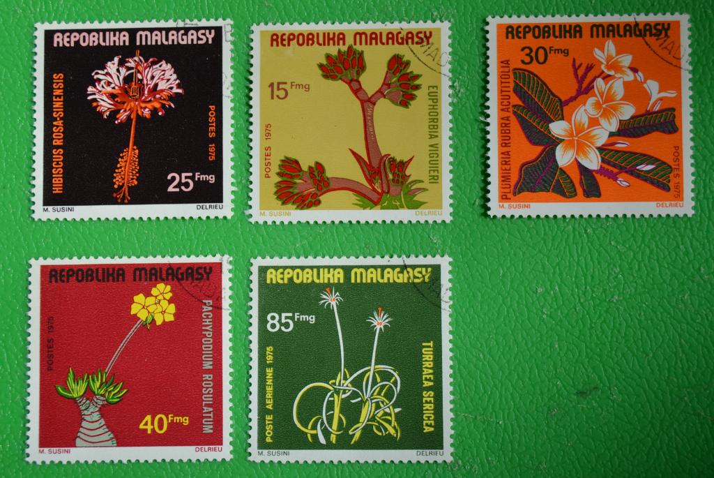 Мадагаскар 1975 г. Флора, Цветы Ми №748-52 #5,5 MNH