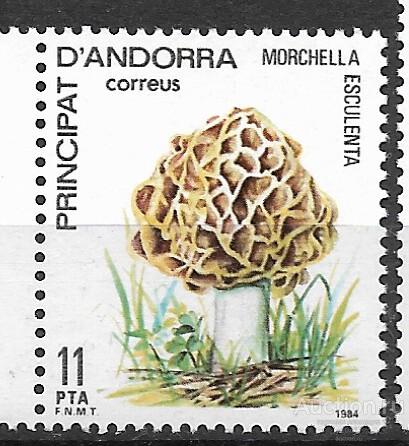 Андорра  ( Исп. ).  Грибы  Ми 178 **