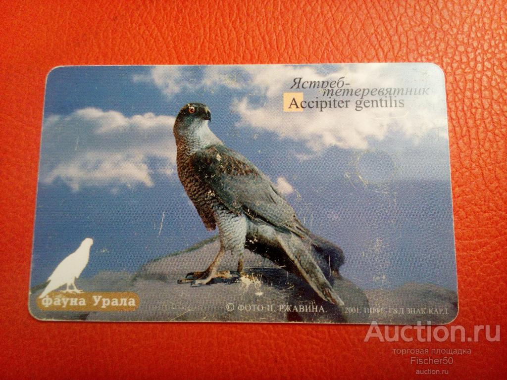 телефонная карта  УРАЛТЕЛЕКОМ Фауна Урала ЯСТРЕБ тетеревятник 200 ед. 2002 год (к30)