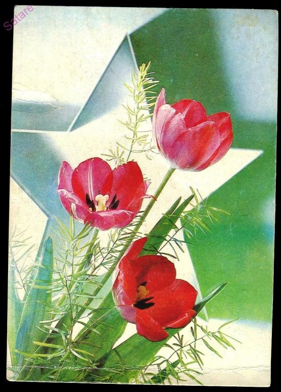 Цветы - Дергилев И - 1990 год