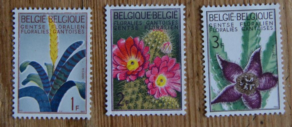 Бельгия 1965 г. Цветы. Mi # 1375-77 MNH*