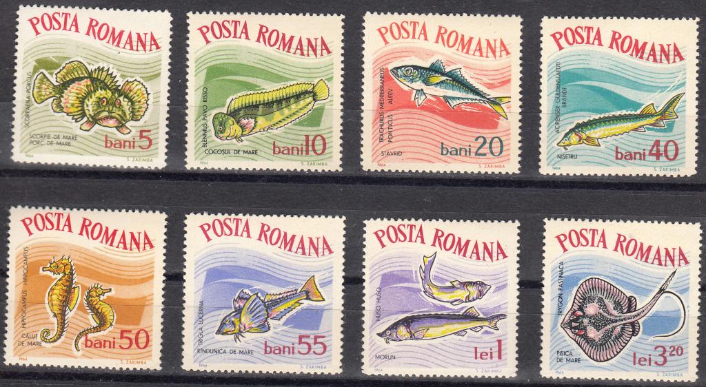 Марки.  Румыния.  1964.  Рыбы.  Фауна.  Серия.