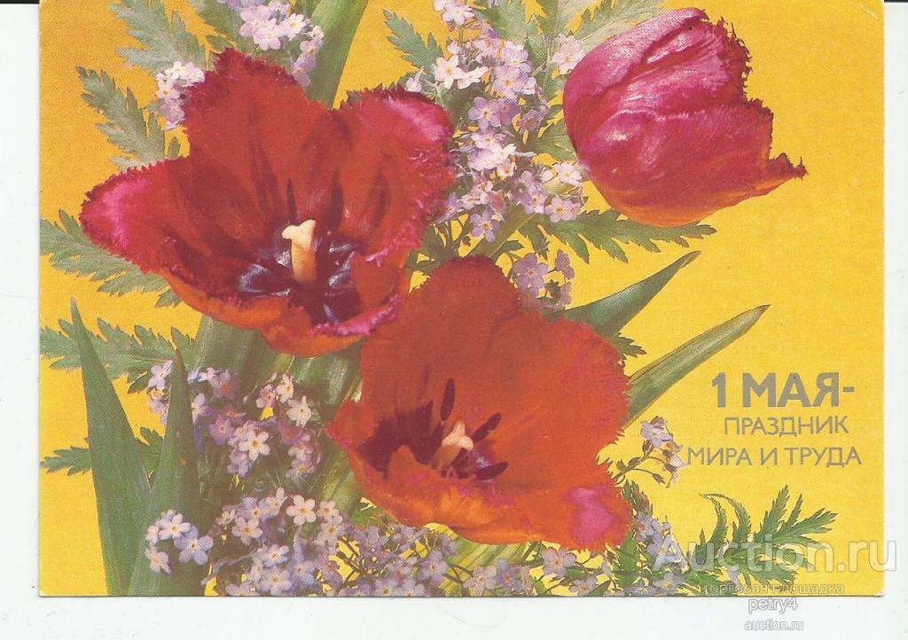 8942. 1 Мая.Цветы.