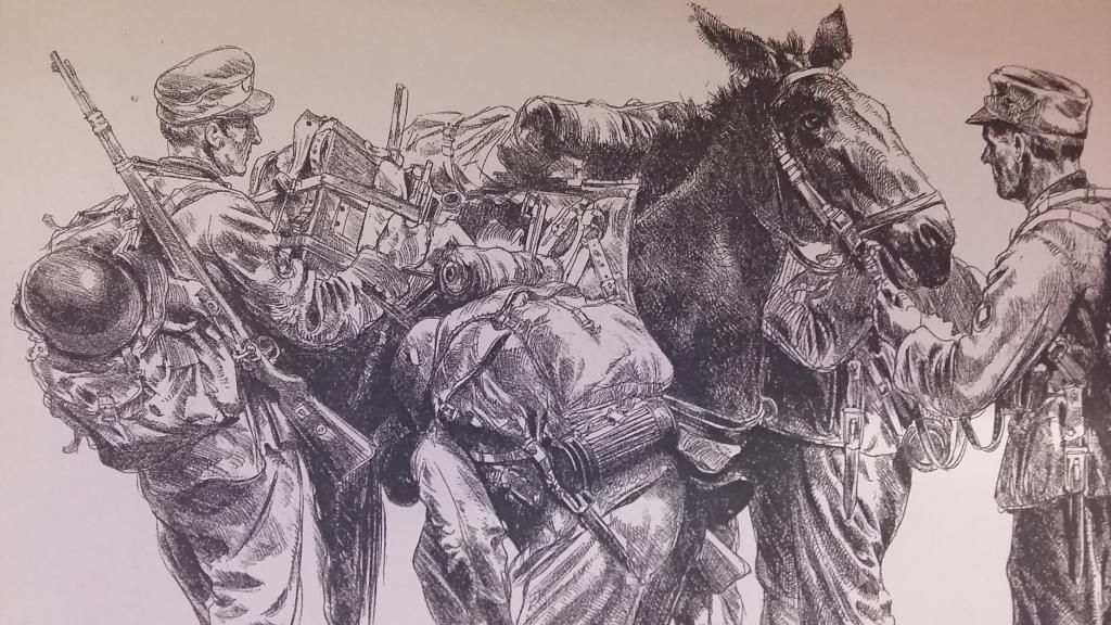 Risunok Grafika Hans Liska Germaniya 3 Rejh Vermahta Gornye Egerya Loshad Edelvejs Soldat Uniforma Re Pokupajte Na Auction Ru Po Vygodnoj Cene