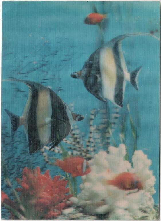 Почтовая карточка Подводная съемка Япония 1970