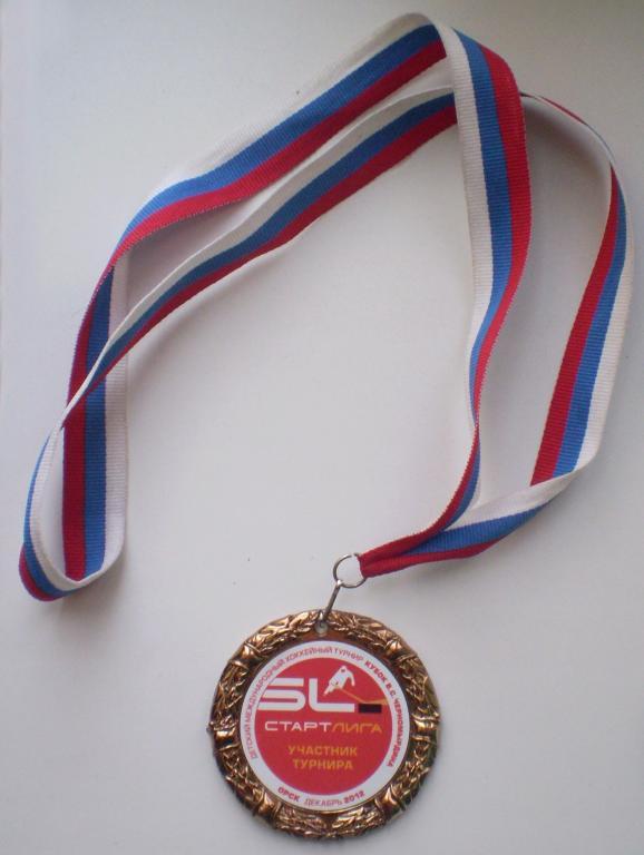 Спорс. Медали хоккейные. Медаль хоккей. Хоккейные награды. Награда хоккей.