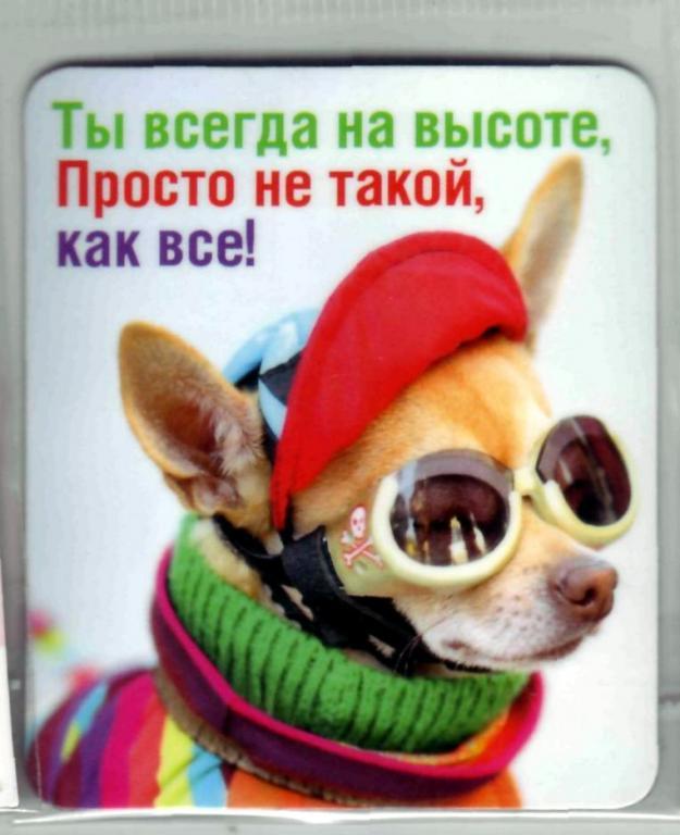 Открытки будь всегда на высоте, шутка псков