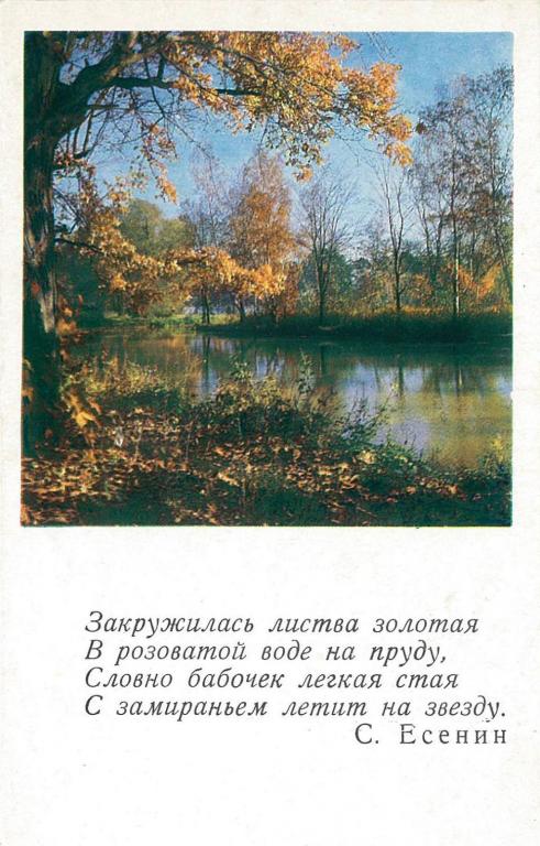 Картина закружилась листва золотая