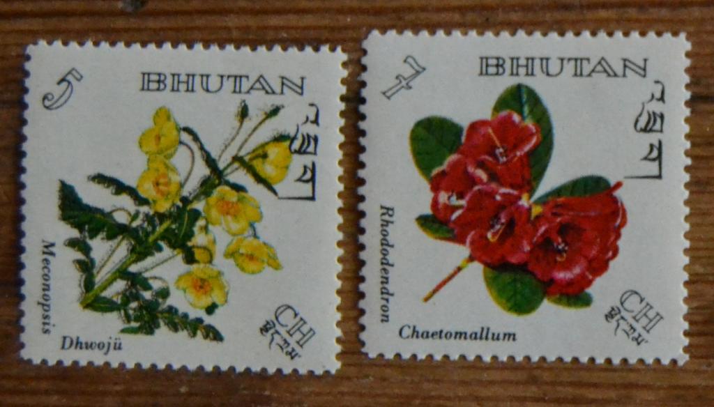 Бутан 1967 г. Цветы Растения Флора MNH