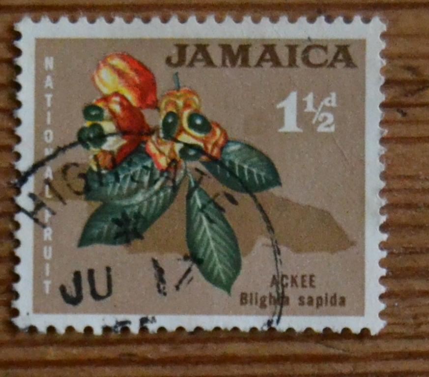 Ямайка 1964 г. Флора Аки, или Блигия вкусная. Фрукты. 1 марка. СТО