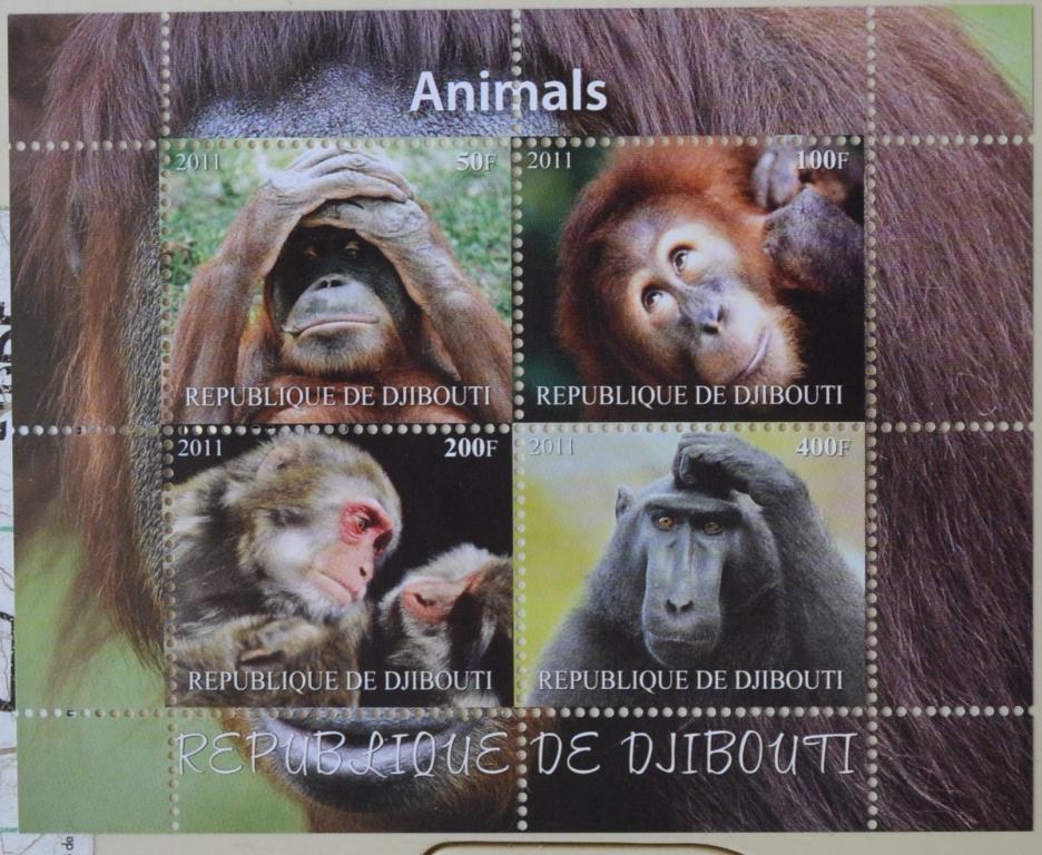 Джибути 2011 г. Фауна Приматы Обезьяны блок MNH