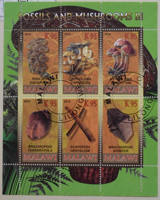 Малави 2010 г. Флора Грибы и окаменелости, блок СТО - 2