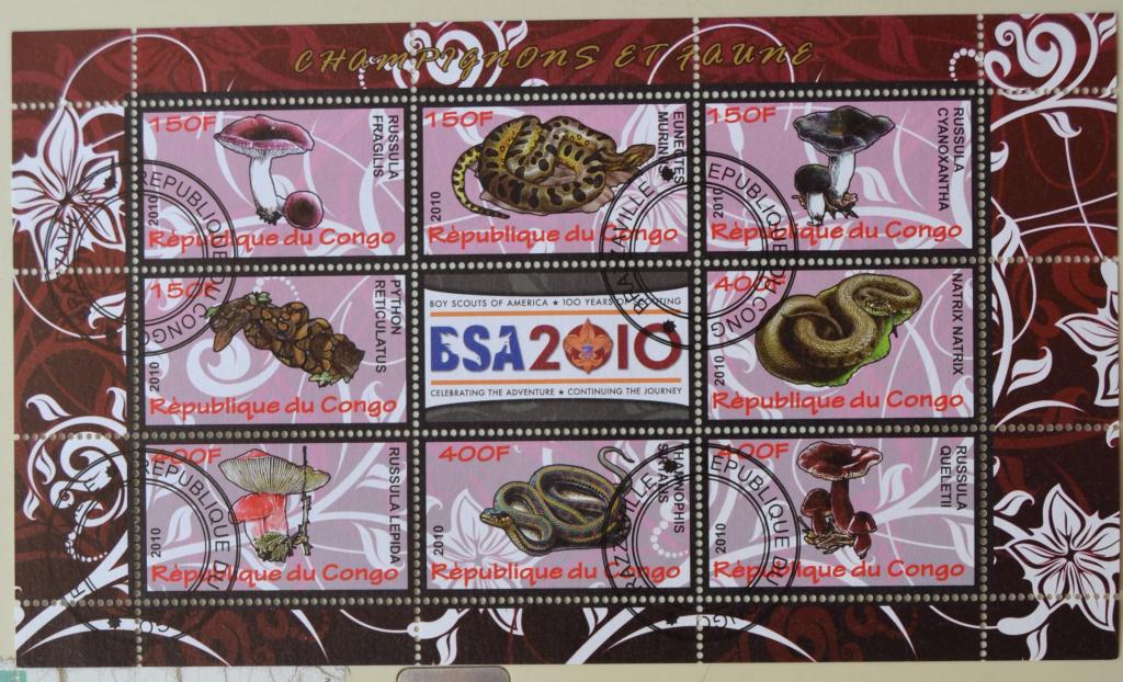 Конго 2010 г. Змеи. Пресмыкающиеся. Флора. Грибы лист СТО