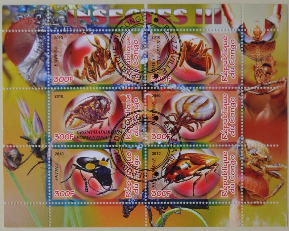Конго 2010 г. Фауна Жуки Насекомые лист СТО - 3