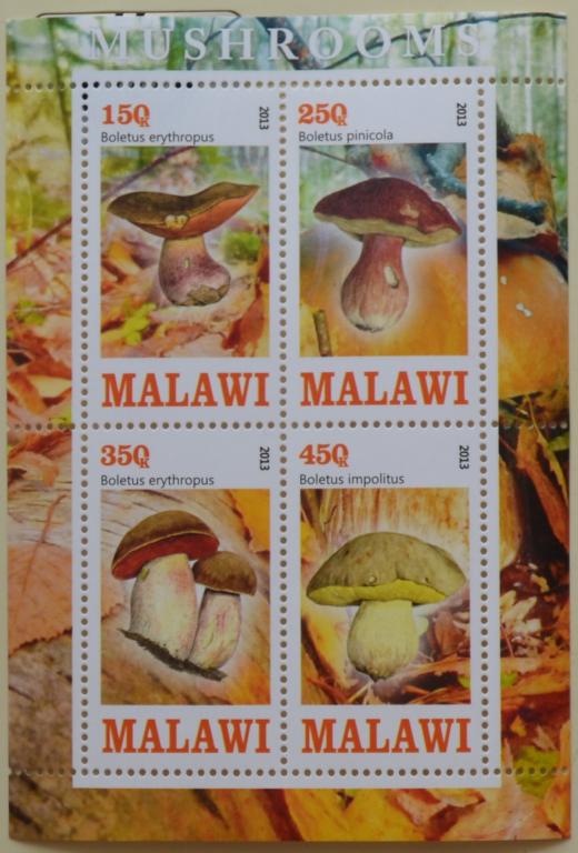 Малави 2013 г. Флора Грибы блок MNH