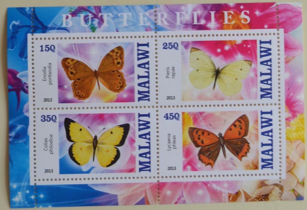 Малави 2013 г. Бабочки Насекомые Фауна блок MNH
