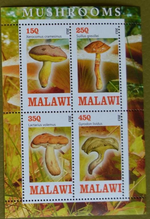 Малави 2013 г. Флора Грибы блок MNH - 3