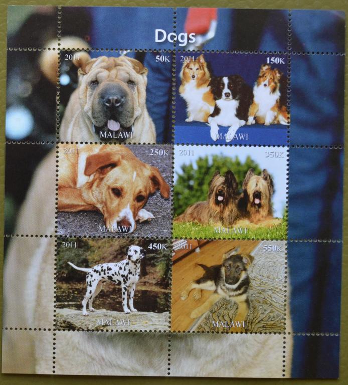 Малави 2011 г. Фауна Домашние животные. Собаки блок MNH - 6