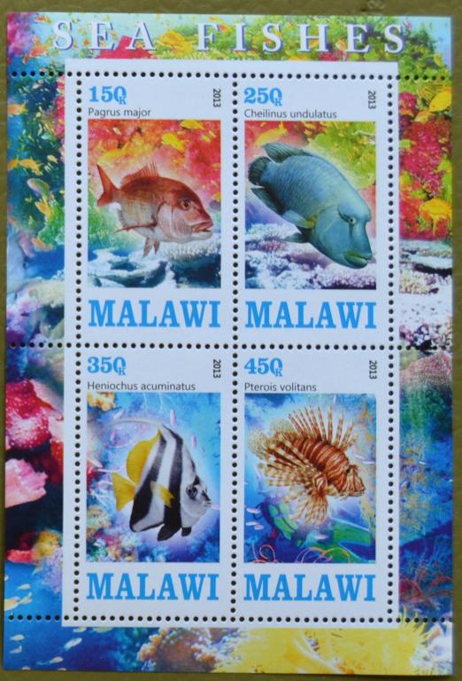 Малави 2013 г. Фауна. Море. Рыбы. MNH - 2
