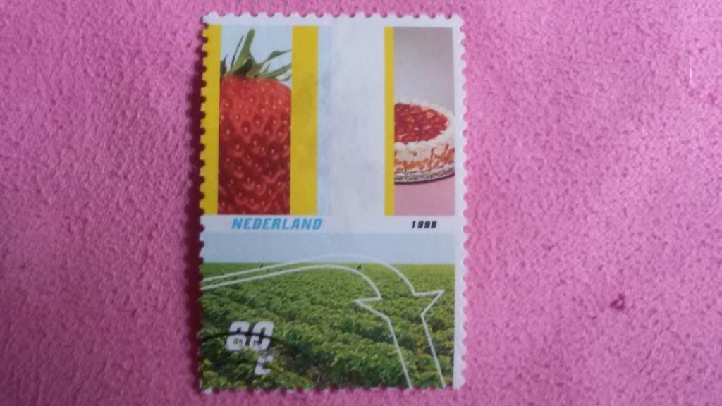 Нидерланды 1998 80 с Клубника