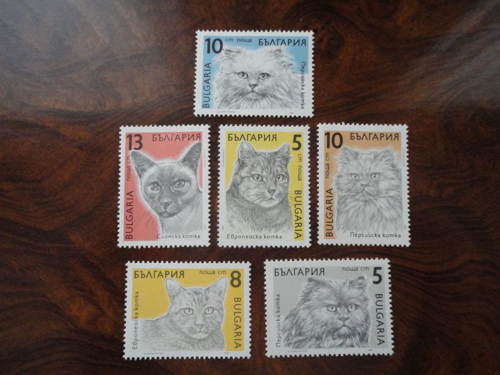БОЛГАРИЯ 1989г. "КОШКИ" СОСТОЯНИЕ **