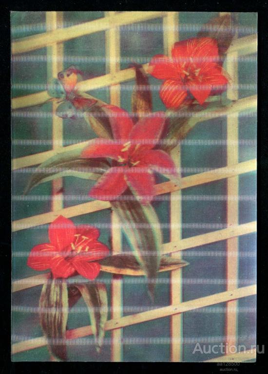 303 Стерео стереофото Сазонова Композиция из цветов 1989