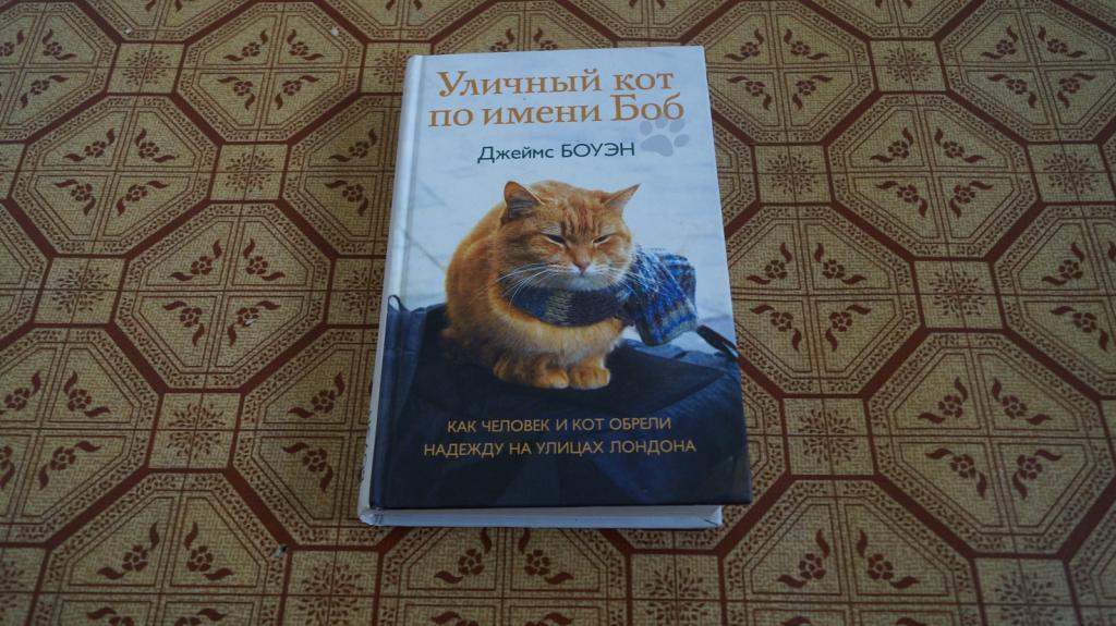 подготовили демотиватор человек и кот обрели надежду на улицах лондона темникова